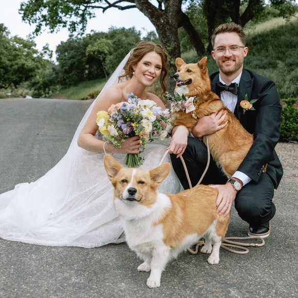 Hi! I’m a new Posh Ambassador II - Picture 2 of 4